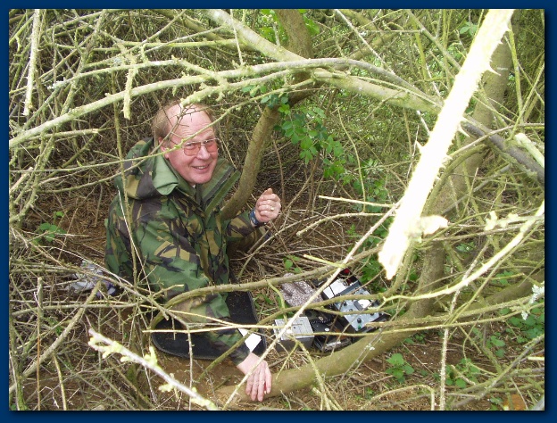 600x449 pixels (206K)